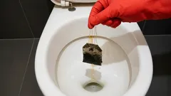 Et ehkä uskoisi, mutta jopa tällainen hassu kotikikka voi toimia.